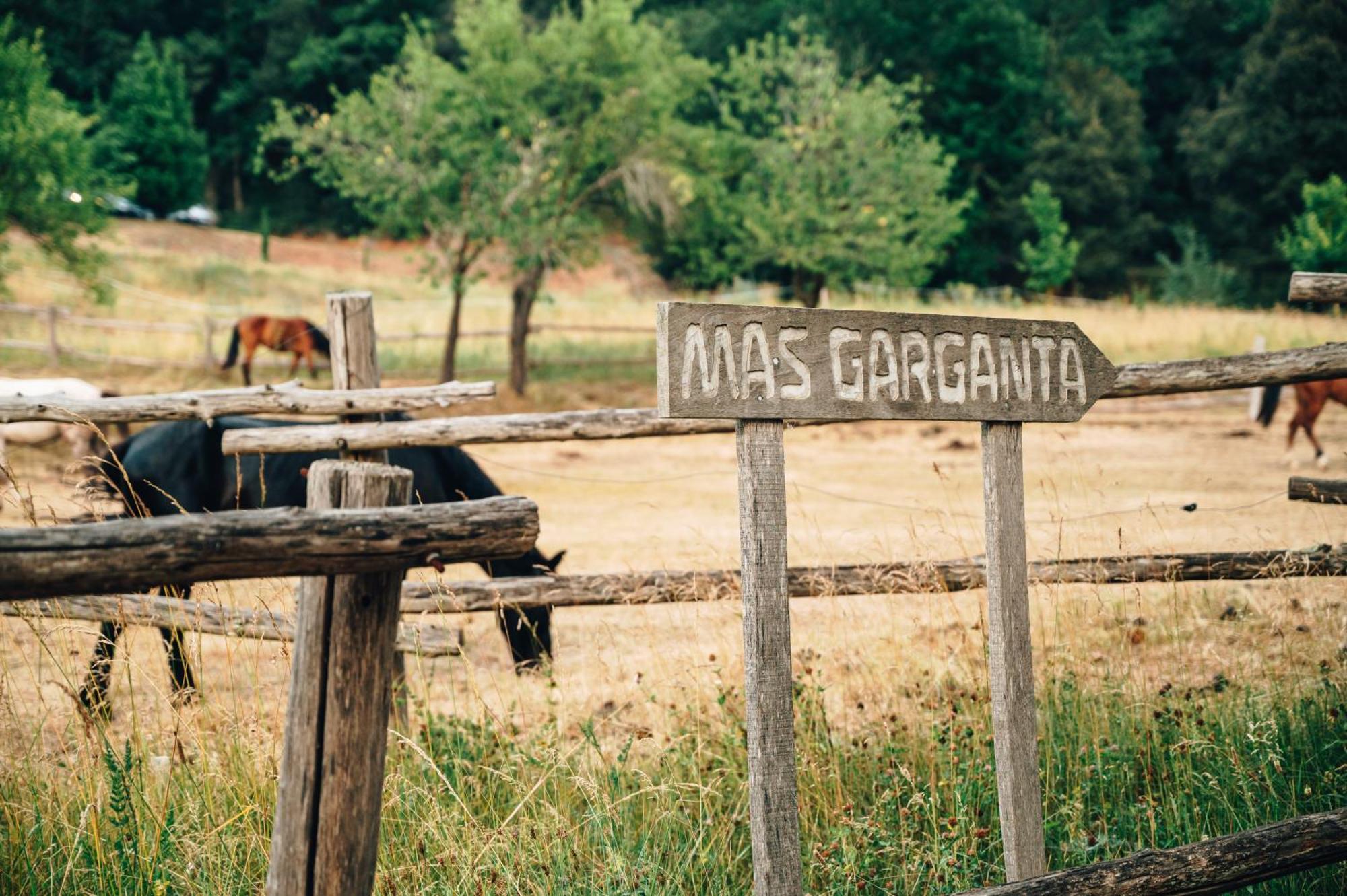 Casa Rural Mas Garganta La Pinya Exterior photo