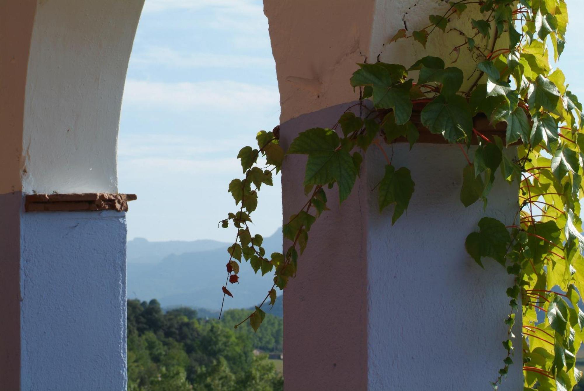 Casa Rural Mas Garganta La Pinya Exterior photo